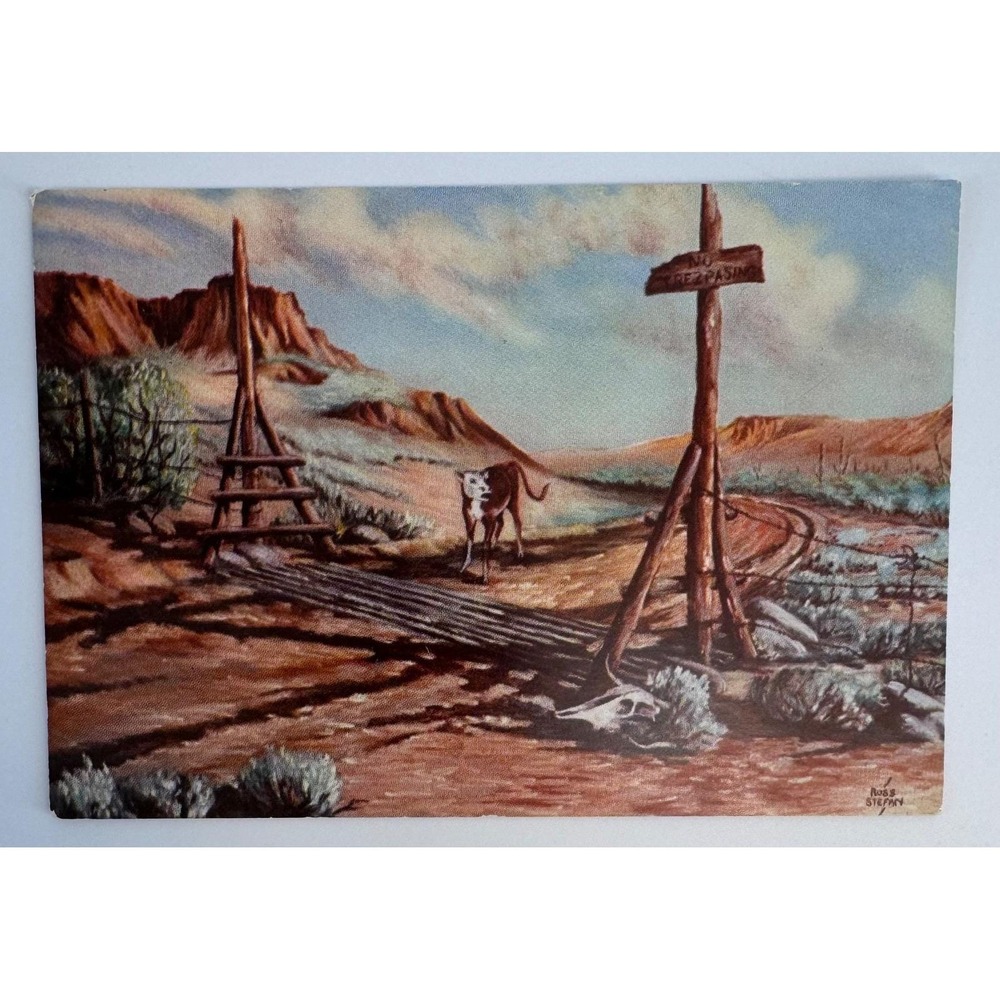 Lot 3 Ross Stefan 1948 Uncirculated Postcards A New Experience Good Scout Attack - Picture 7 of 15
